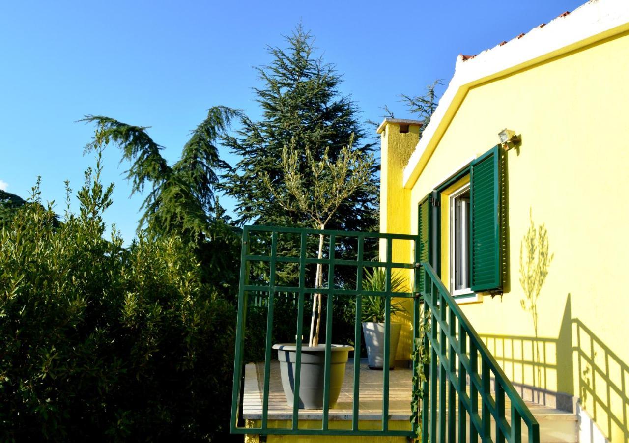 Apartments Vukovic Stari Grad  Exterior photo